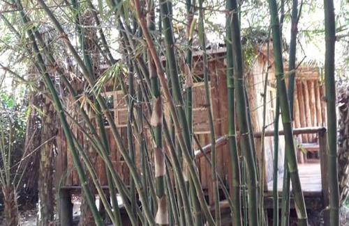 Kampala Hotel | Nyasi Eco Resort Kajjansi