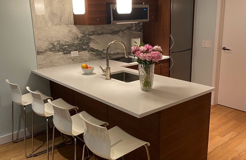 Williamsburg Apartment | NYC Townhouse Garden Apt - Williamsburg Brooklyn 7 Min to Union Sq in Manhattan