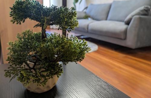 Caldas de Reis Apartment | O Pisiño de Andrés