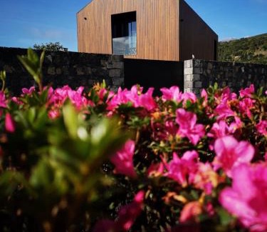 Ribeira Cha House | Oak Retreat House