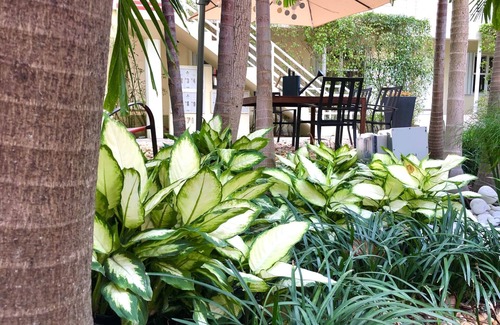 Edgewater Apartment | Oasis-01 5 MIN FROM MIAMI BEACH, Studio, Miami Design District & Wynwood