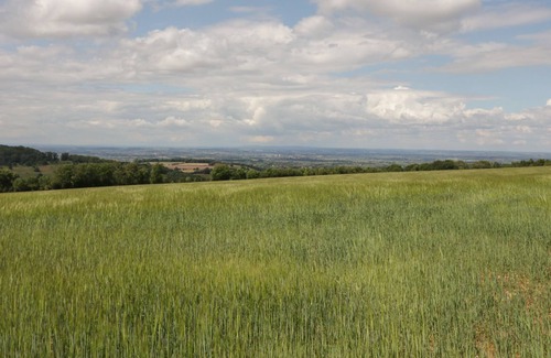 Snowshill Village Cottage | OAT HILL COTTAGE, pet friendly in Broadway
