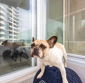 Renaca Apartment | Ocean and forest views, perfect for you