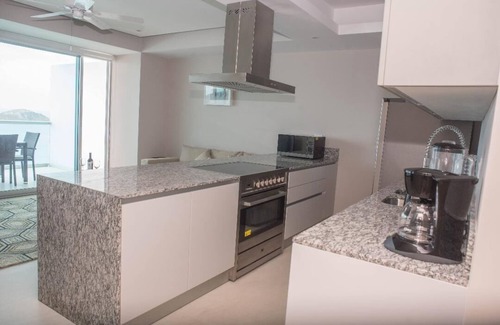 Ixtapa Apartment | Ocean View 2 Bed 2 Bathr Península