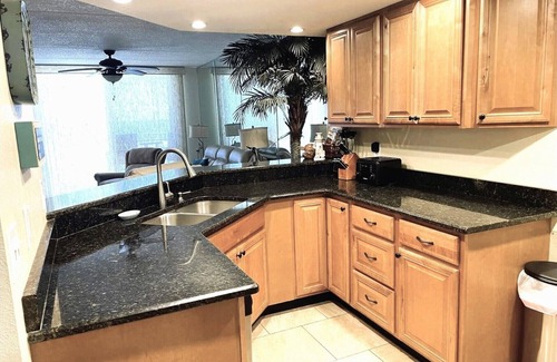 Ponce Inlet Condo | Ocean waves at your feet! Oceanfront - Ponce Inlet, FL