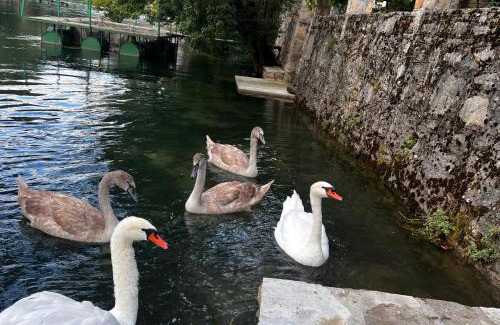 Trebinje Apartment | Odmor uz Trebišnjicu