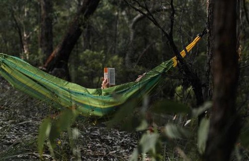 Yarramundi House | Off-Grid Cabin Tucked into Nature Creek Access - Yenya