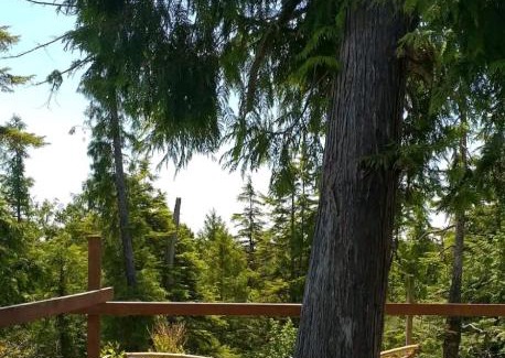 Ucluelet House | Off grid tiny home: the Seer tree house Medicine Farm