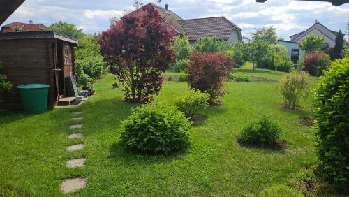 Olsany u Prostejova House | Olšany Home