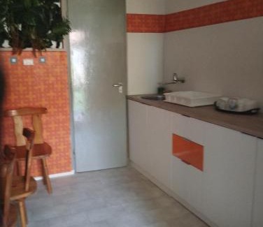 Szeged Apartment | Old Lady