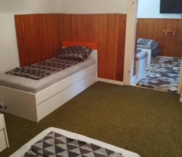 Szeged Apartment | Old Lady