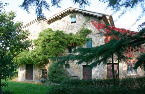 Pieve al Bagnoro Villa | Olivo