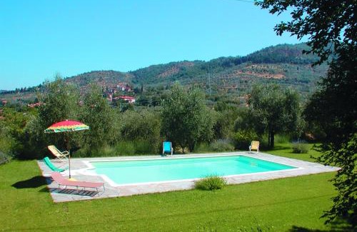 Pieve al Bagnoro Villa | Olivo