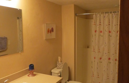 Pickett House | One bedroom and full bath in home 2 miles from EAA. Area with TV & refrigerator.