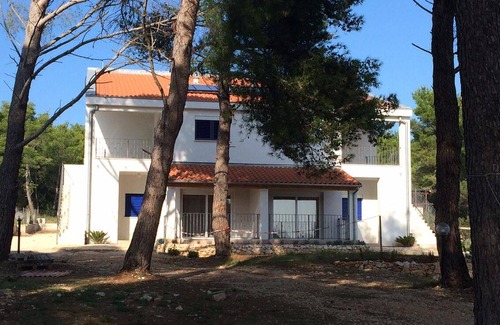 Verunic Apartment | One bedroom apartment with terrace Verunić, Dugi otok (A-15209-b)