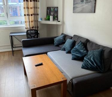 Chaucer Apartment | one bedroom apartment in Tower Bridge road