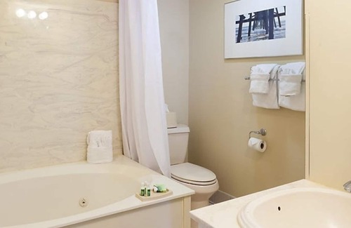 Downtown Myrtle Beach Resort | One Bedroom Condo, Myrtle Beach 3317100