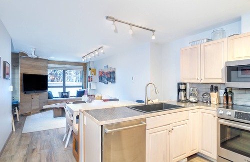 Telluride Condo | One block walk to gondola, ski lockers downstairs, River Trail close by!