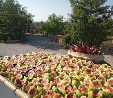 Specchia Bed & Breakfast | ONIRO Specchia