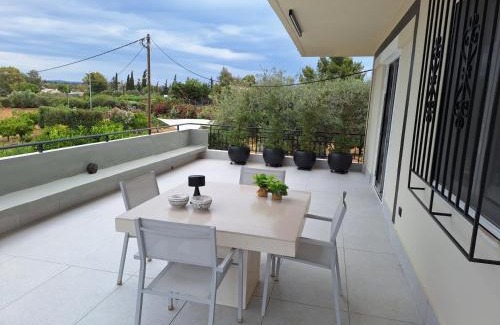 Papastavraiika House | Orange Tree