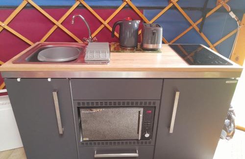 Weston-super-Mare Other | Orchard View Yurt & Hot Tub Somerset