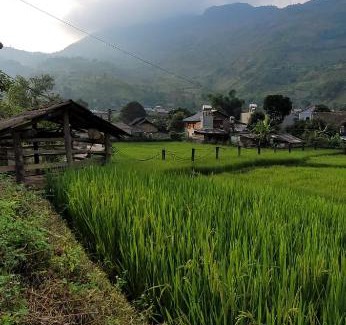 Sa Pa House | Organic Farm Homestay