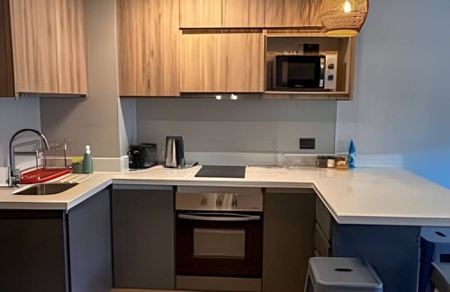 Pucon Apartment | Origen Aqua 02