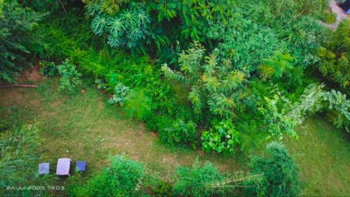 Sanganer Apartment | OSHO Villa Guest House