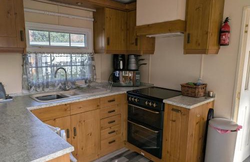 Llanfair Caereinion Other | Otter view
