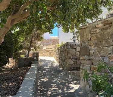 Plintri Apartment | Oxalis Mykonos Apartments