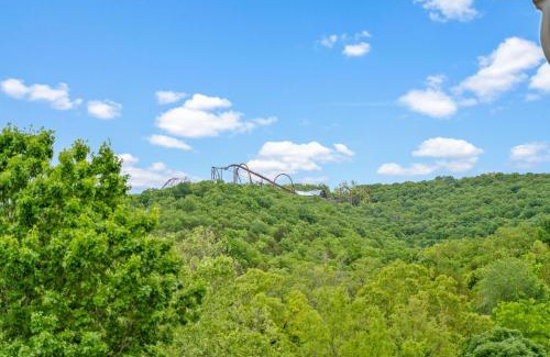 Indian Point Apartment | Ozark Vista