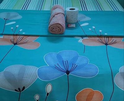 Acapetahua Bed & Breakfast | Palapa Abraham