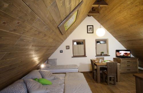 Moravske Toplice Apartment | Panonska Vas Apartments