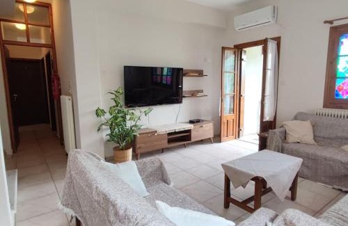 Zagora-Mouresi Apartment | Panorama
