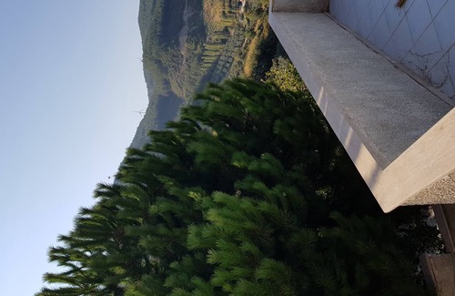 Soke Cottage | Panoramic nature dwellings with pine forest, olive valleys, sea and gre