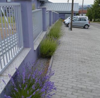 Slavonski Brod Bed & Breakfast | Pansion Antonio