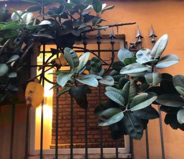 Rione XI Sant'Angelo Apartment | Pantheon, Campo de fiori mini garden