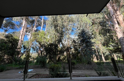 Papudo Apartment | Papudo forest & sea