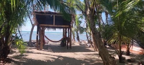 Cabuya House | Paradise