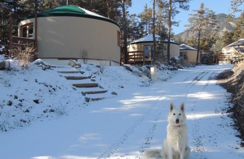 Pra Loup Resort | Parc Résidentiel de Loisir : Le Loup Blanc du Riou