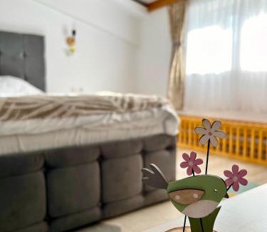 Vatra Dornei Apartment | Parc Vatra Dornei 3 - Family & couples