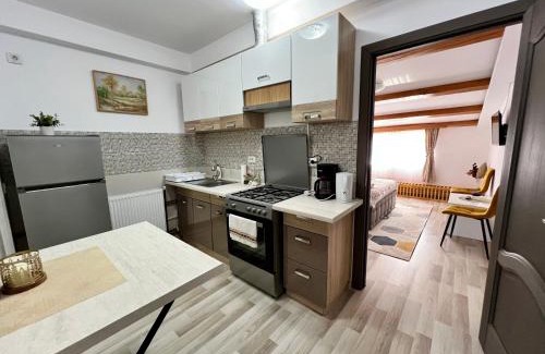Vatra Dornei Apartment | Parc Vatra Dornei 3 - Family & couples