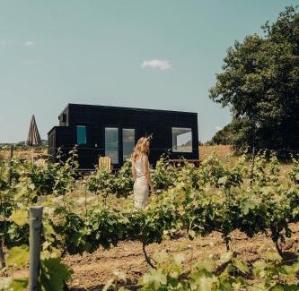 Saint-Romain-en-Viennois Ski Chalet | Parcel Tiny House au coeur des vignes proche Mont Ventoux