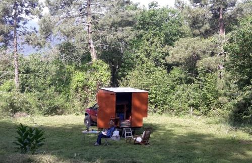 Pignona Other | Parisalla Rural Hub