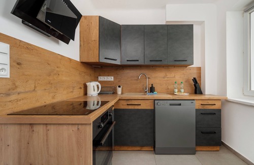 Baluty Apartment | Park Ocalałych Modern Apartment