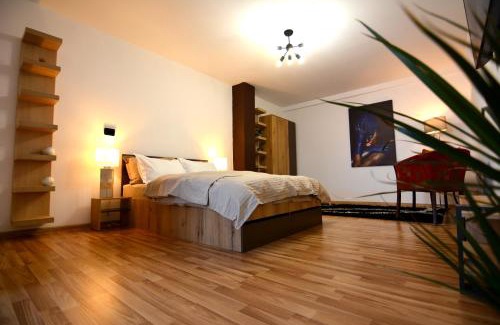 Fagaras Apartment | park32