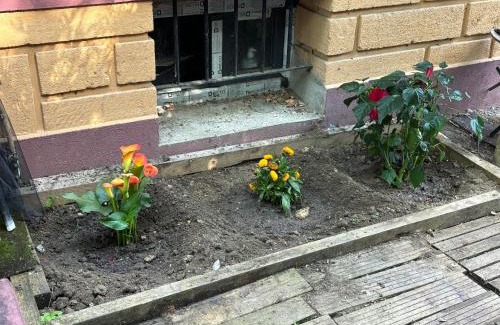 Bagneux Apartment | Pavillon 1 à 4 personnes chez l’habitant parfait pour une famille