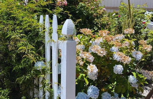 Piedmont Avenue House | Peaceful Garden Craftsman