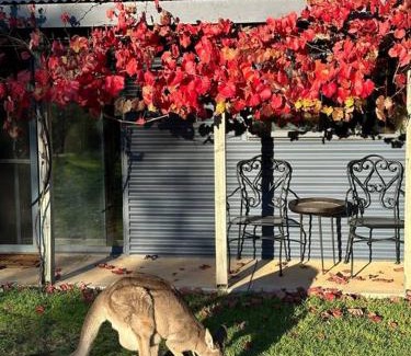 Splitters Creek House | Peaceful getaway in stunning bush setting