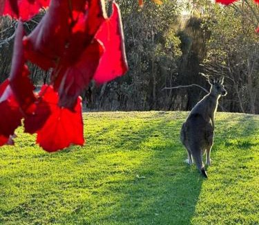 Splitters Creek House | Peaceful getaway in stunning bush setting